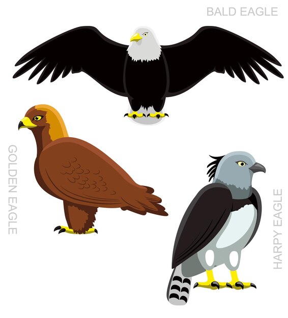 Vector de ilustración de las aves