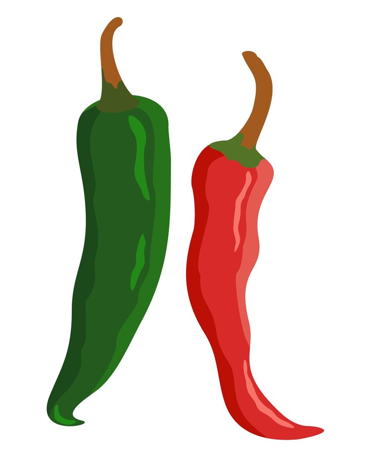 Vector vector ilustración brillante de pimientos verdes y rojos aislados sobre fondo blanco