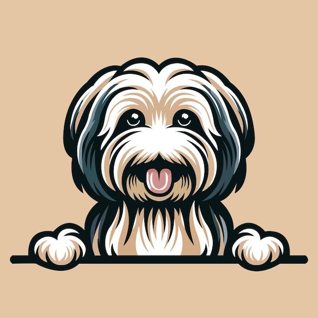 Vector de ilustración de la cara del perro Lowchen mirando fijamente