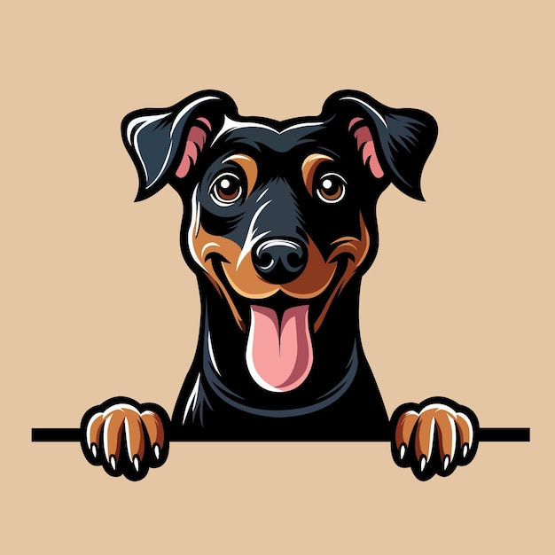 Vector de ilustración de la cara del perro Manchester Terrier que está asomando