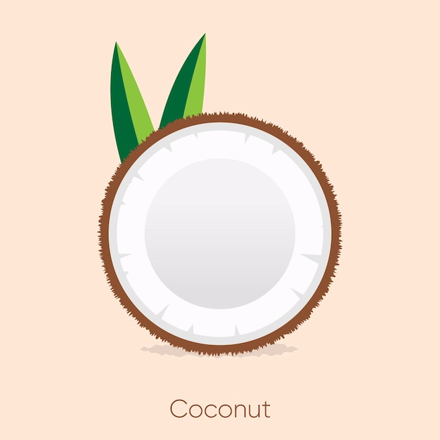 Vector de ilustración dibujada a mano de fruta de coco