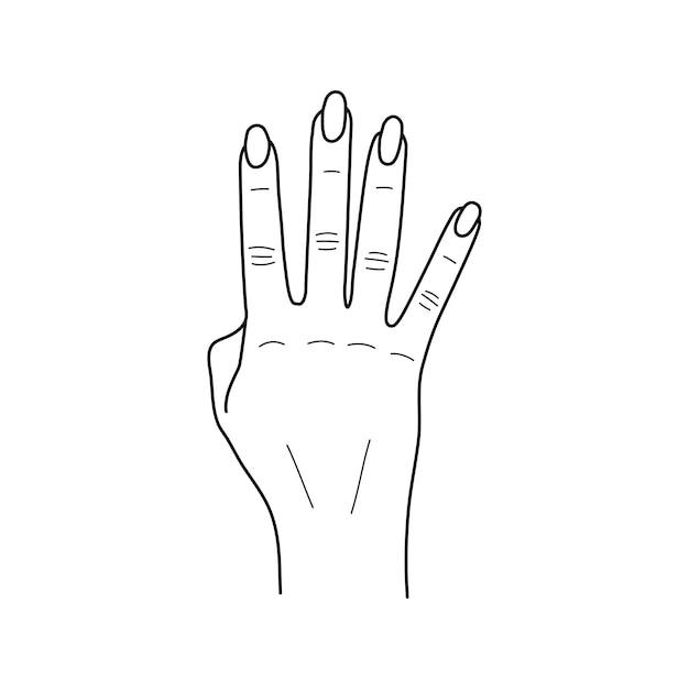 Vector ilustración dibujada a mano del gesto de la mano. Cuatro dedos, el dorso de la mano. Mano de mujer. Bosquejo. Para logotipo o emblema, postales, carteles, estampado de camisetas.