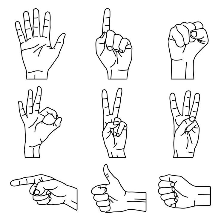 Vector de ilustración de dibujo de línea de mano