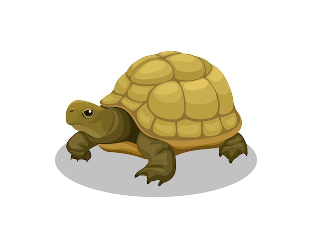 Vector de ilustración de dibujos animados de animales anfibios de tortuga