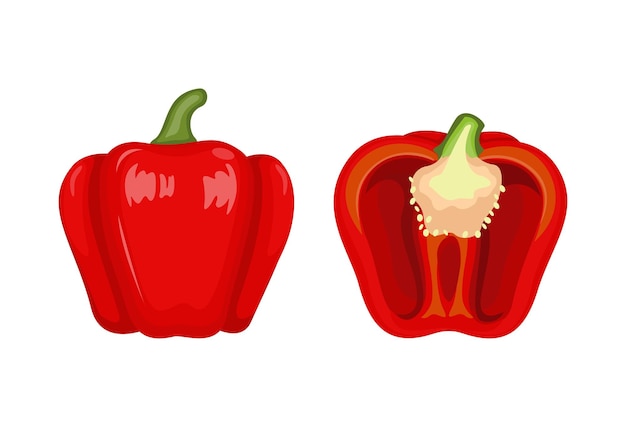 Vector de ilustración de dibujos animados de color rojo pimentón