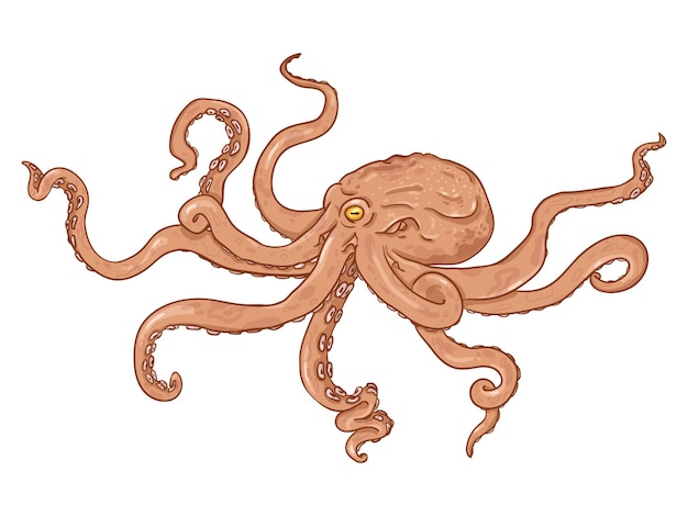 Vector ilustración de dibujos animados individuales - pulpo rojo. Animal submarino salvaje.