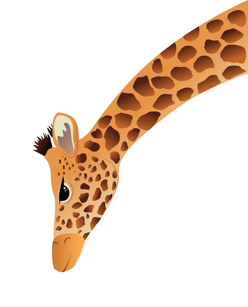 Vector vector de ilustración de dibujos animados de jirafa