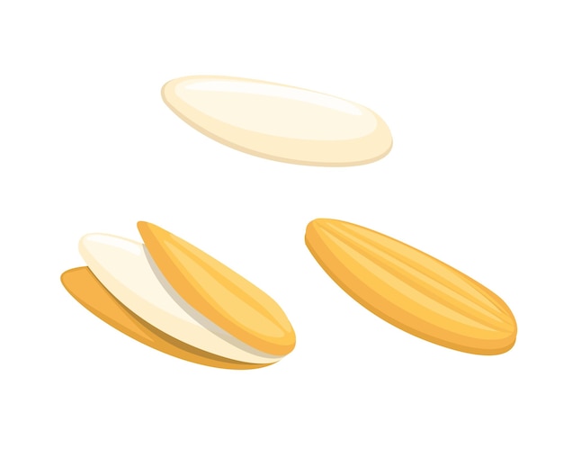 Vector de ilustración de dibujos animados de símbolo de objeto de arroz con cáscara