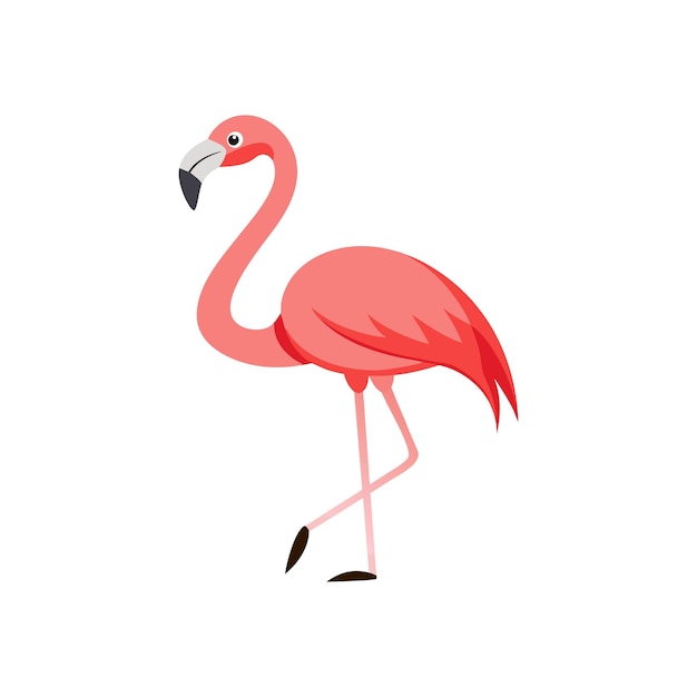Vector de ilustración de flamenco