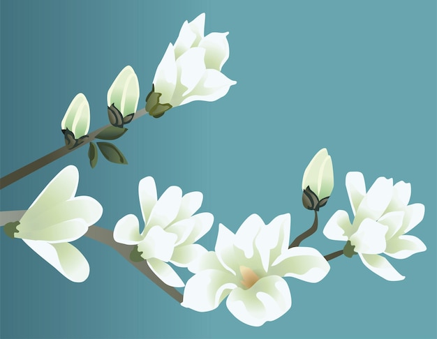 Vector de ilustración de flor blanca