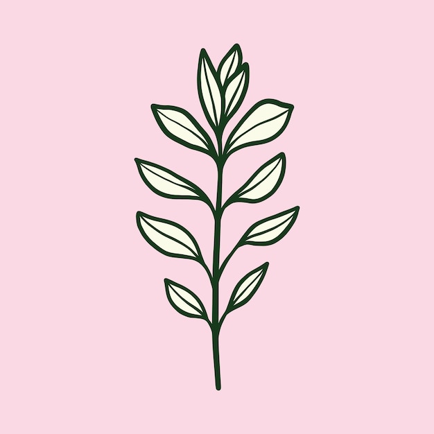 vector de ilustración floral botánica