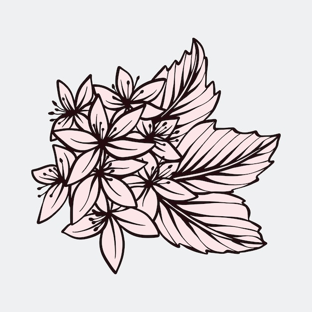 vector de ilustración floral de flor botánica