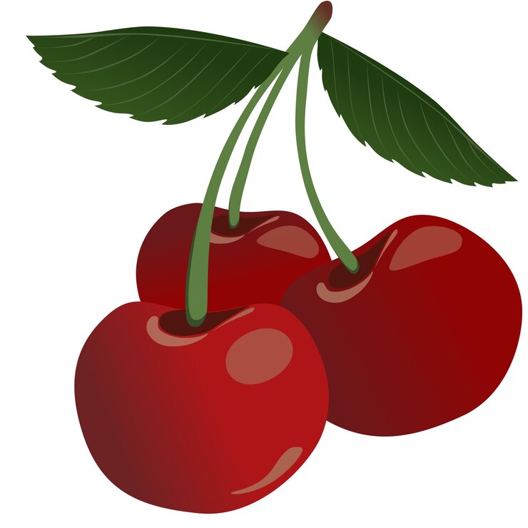 Vector vector de ilustración de fruta de cerezas rojas
