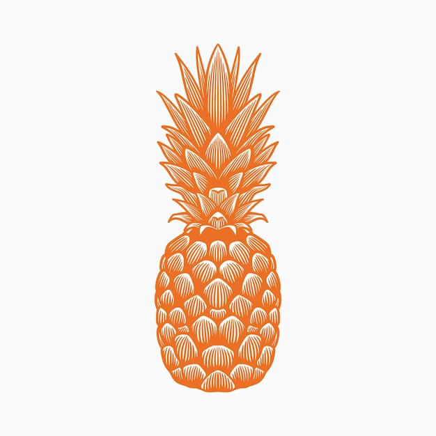 vector de ilustración de fruta