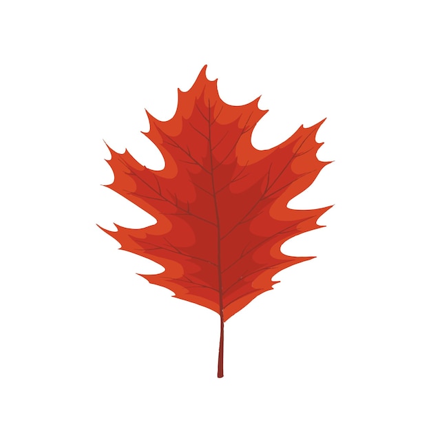 Vector de ilustración de las hojas rojas de otoño