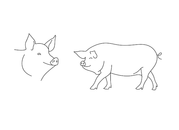 Vector ilustración lineal animal de granja - cerdo aislado en fondo blanco.