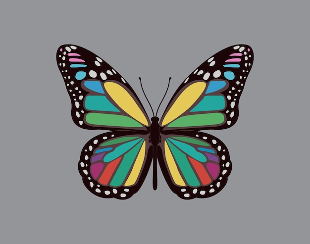 Vector de ilustración de la mariposa arco iris dibujado a mano