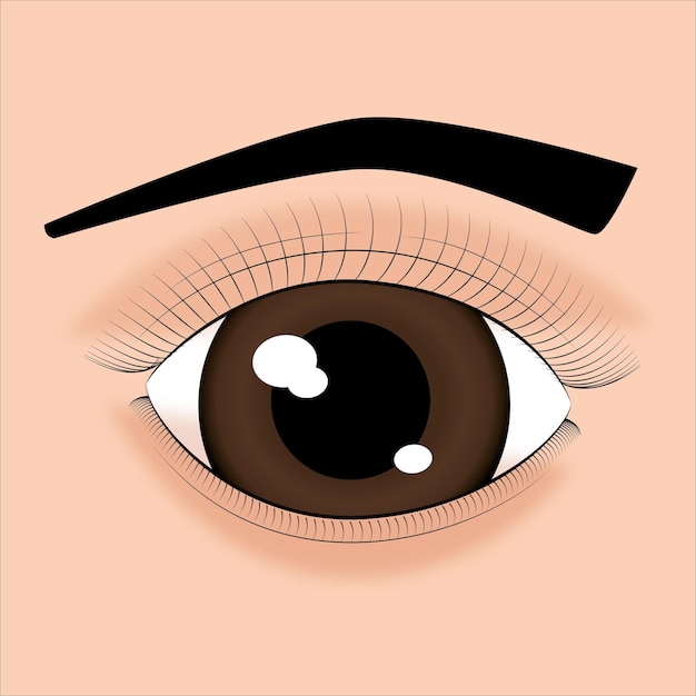 Vector de ilustración de ojo marrón