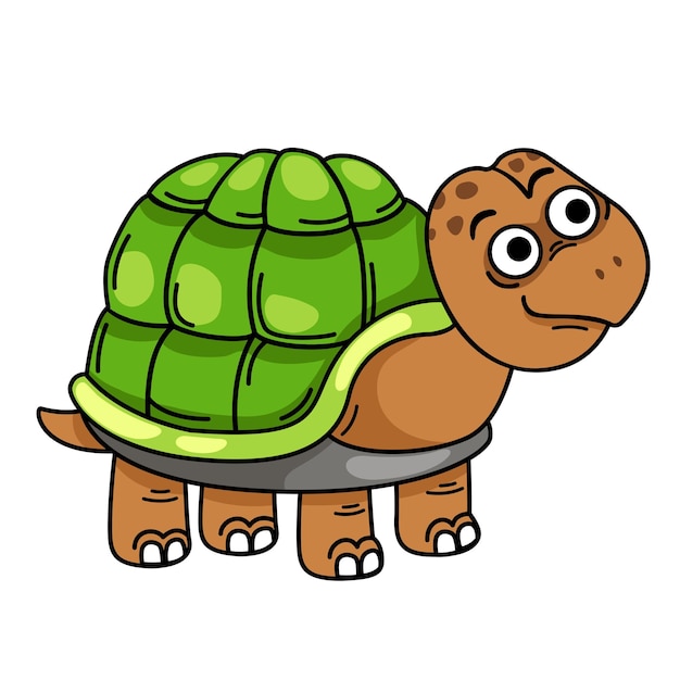 Vector de ilustración de personaje de tortuga dibujada a mano