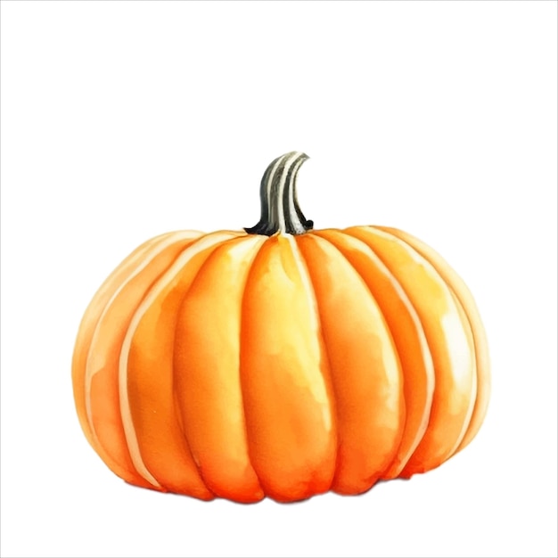 Vector de ilustración de pintura de acuarela aislada de calabaza fresca