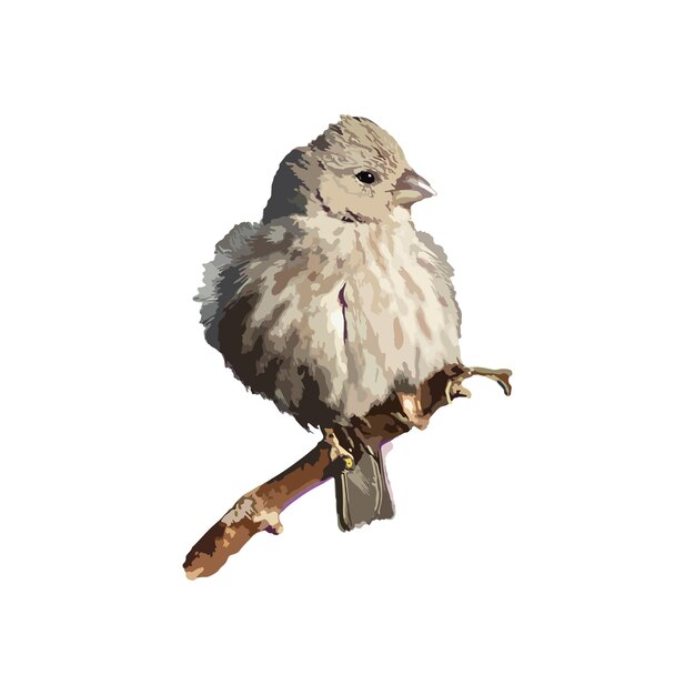 Vector de ilustración plana de pájaros eps