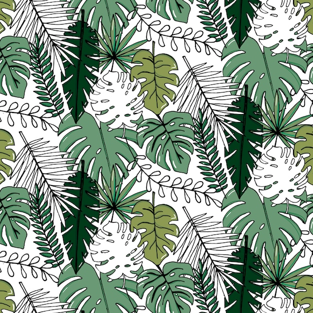 Vector ilustración realista conjunto de hojas tropicales