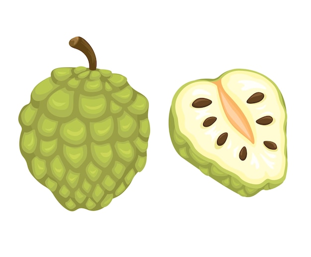 Vector de ilustraciones de dibujos animados de frutas de manzana de crema