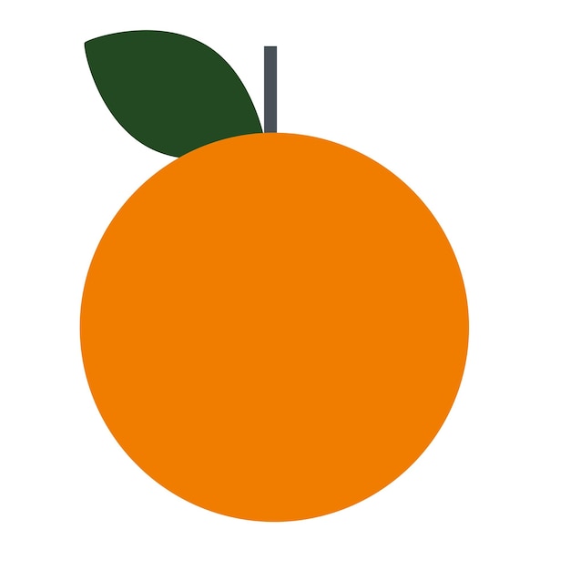 un vector ilustrativo de frutas de naranja