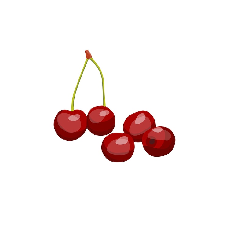 Vector vector de la imagen de la baya de la cereza que es rica en vitaminas ab y c