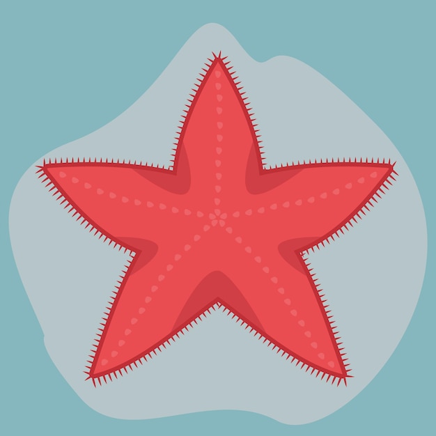 Vector vector de la imagen de una estrella de mar habitantes marinos