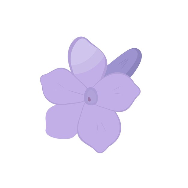 Vector de la imagen de lavanda púrpura. Brote floreciente con reflejos en los pétalos