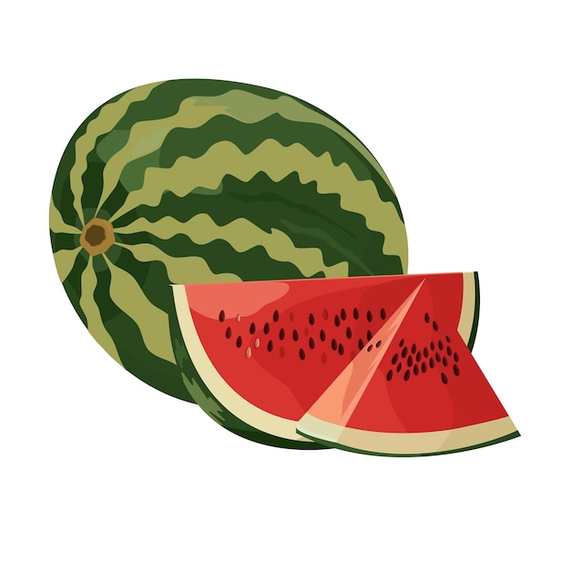 Vector de la imagen de una sandía sobre un fondo blanco Fruta