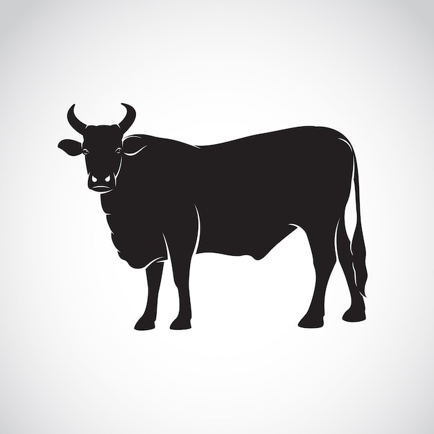 Vector de la imagen de una vaca sobre fondo blanco