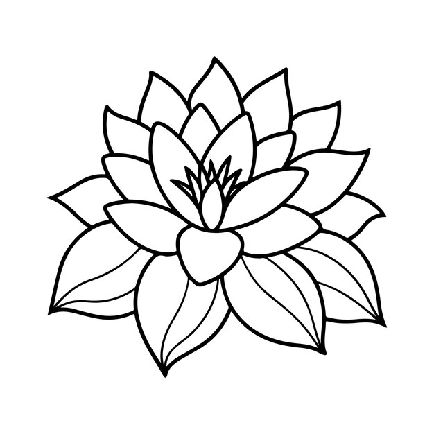 Vector de imágenes de flores rosadas