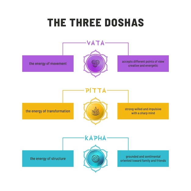 El vector infográfico de los tres Doshas