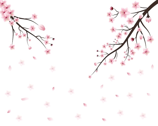 Vector japón sakura rama de cereza con flores en flor diseño constructor con brote de cereza en flor