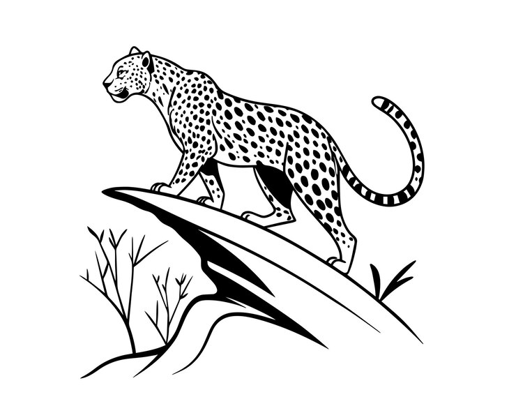 Vector Leopard Line Art con fondo blanco aislado