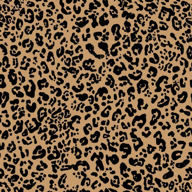 Vector de leopardo dibujado a mano Vector de diseño Impresión de animal de chita