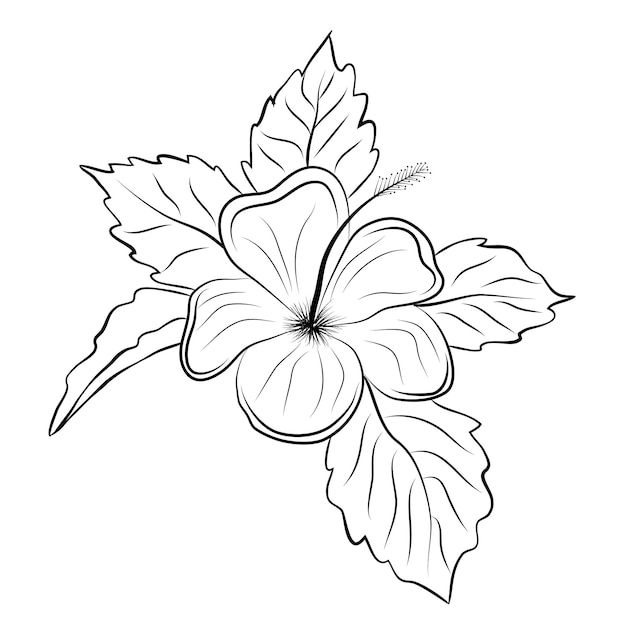 Vector libre arte lineal y dibujo a mano flor arte blanco y negro diseño plano simple flor
