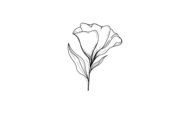 Vector libre círculo hermoso dibujo a mano y boceto de una flor de tulipán