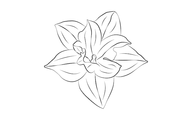 Vector libre hermosa mano dibujo y boceto flor decorativa