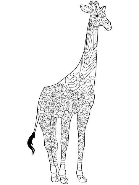 Vector de libro de colorear de jirafa para adultos