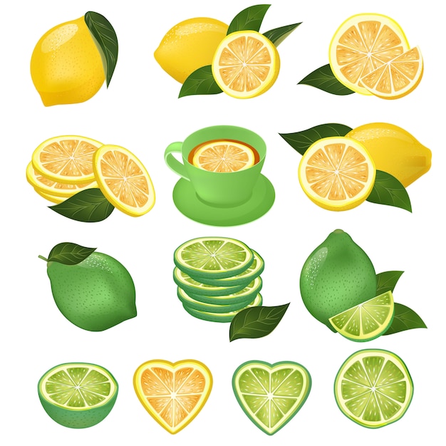 Vector vector de limón verde lima y cítricos amarillos en rodajas de limón y limonada jugosa fresca ilustración natural