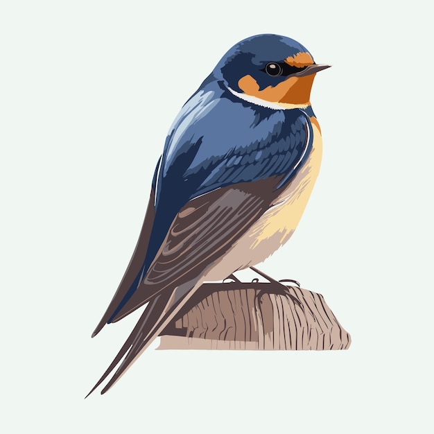 vector lindo golondrina estilo de dibujos animados