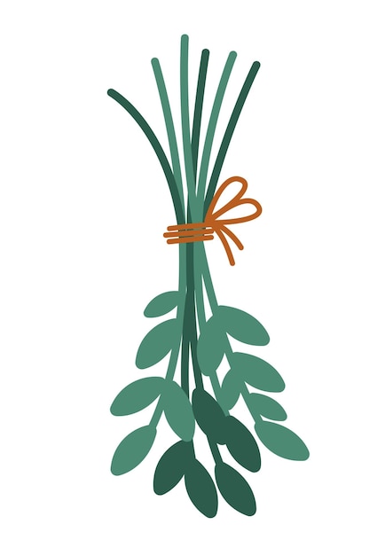 Vector lindo ramo de hojas Manojo de cultivo de estilo plano atado con una cuerda Ilustración de planta divertida aislada sobre fondo blanco Secado de ramitas verdes colgando boca abajo Icono de hierbas de granja
