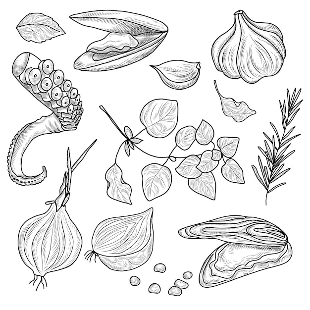 Vector línea arte comida ilustración de ajo albahaca rama romero cebolla pimienta menta pulpo y mejillones