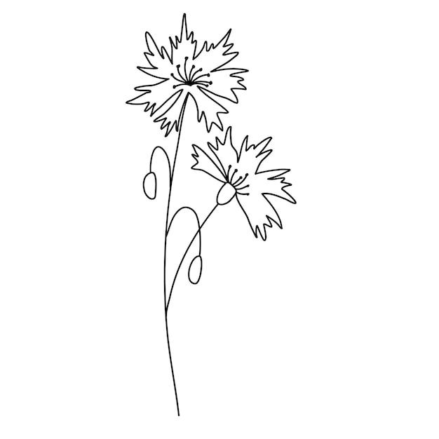 Vector de línea de planta de campo, vector de flor de línea, diseño de línea minimalista, vector de planta silvestre