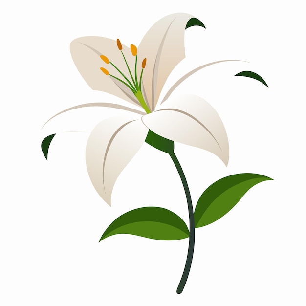 Vector un lirio con hojas verdes con estilo de ilustración plana