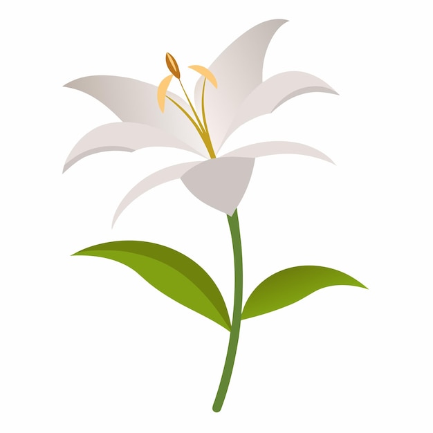 Vector un lirio con hojas verdes con estilo de ilustración plana