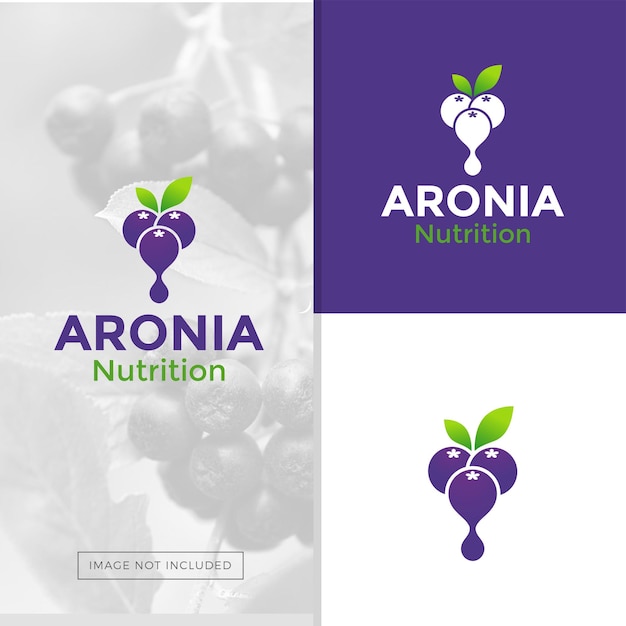 Vector vector logo ilustración baya aronia